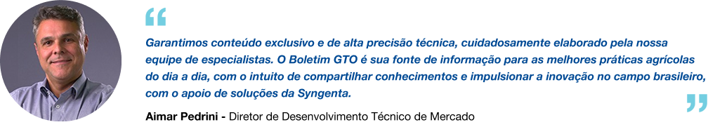 DEPOIMENTO FERNANDA (1)
