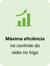 icone representando 
